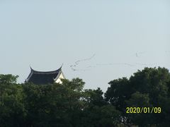 -龙舟池
