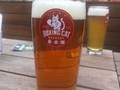 -Boxing Cat Brewery拳击猫精酿啤酒馆(永福店)