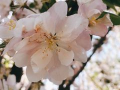 -济南国际园博园