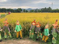 -光明小镇欢乐田园