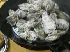 -蚝专家(北滘店)