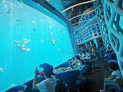 -瑞德姆美人鱼海底演艺主题餐厅(亚龙湾店)