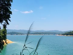 -广州市流溪河国家森林公园