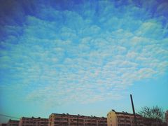 -鲜芋仙(苏州干将店)