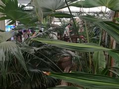 -祥阁食府妈妈菜
