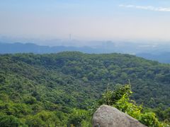 -东莞市大岭山森林公园