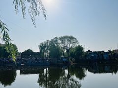 -白洋淀风景区