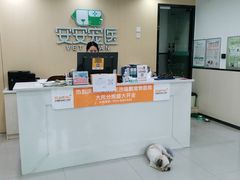 -安安宠物医院(情缘分院)