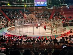 -俄罗斯国家大马戏团