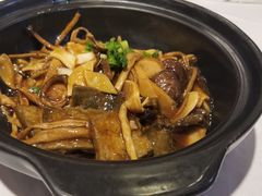 素八珍黑豆腐-峨嵋酒家总店(车公庄店)