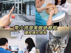 -美联众合爱康动物医院•复杂内科•肿瘤科•牙科•腔镜诊疗中心