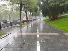 -玉树公园