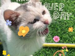 -亲兄弟真人CS团建拓展基地