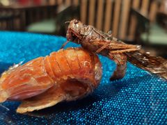 -蓝钻·国际美食海鲜自助百汇(西直门店)