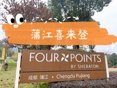 -成都蒲江花样年福朋喜来登度假酒店·宜客乐西餐厅