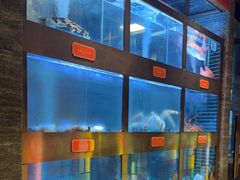 -ONE FULL 古董港式海鲜火锅