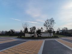 -九龙湖公园