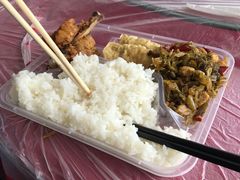 -上海都市菜园