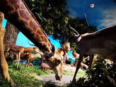 -国家自然博物馆