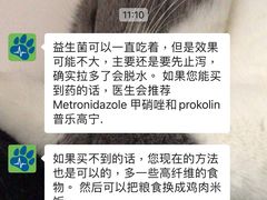 -佩兹宠物医院肿瘤专科·眼科·牙科(黄浦店)