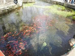 -水磨沟公园