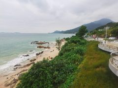 -杨梅坑
