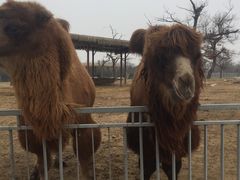 -西安秦岭野生动物园