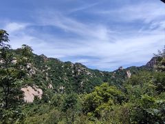 -大岭沟猕猴桃谷风景区