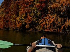 -上海海湾国家森林公园