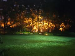 -申粤轩酒楼·三十年粤菜经典(丁香花园店)