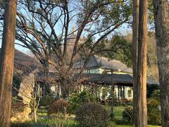 -浙江西子宾馆·瑶园咖啡厅