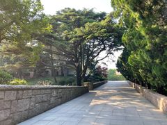 -八大关景区