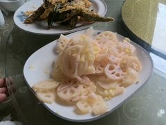 -微山岛春天里酒家