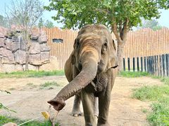 -济南野生动物世界