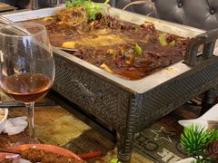 -鱼乐乐(Happy Fish)