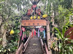 -西双版纳原始森林公园