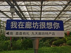 -九天休闲谷