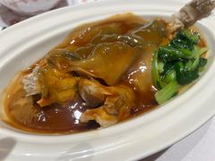 -新光酒家·河豚·海鲜·蟹料理(浦东店)