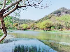 -八卦田遗址公园