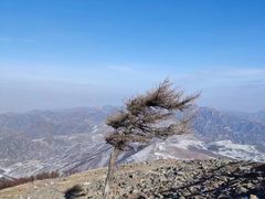 -灵山
