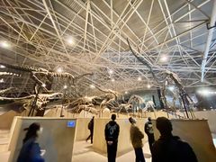 -世界恐龙谷景区