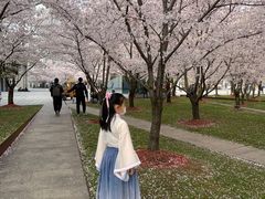 -龙美术馆西岸馆-停车场