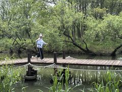-长兴太湖图影湿地文化园