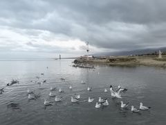 -青海湖国家重点风景名胜区