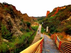 -彩色沙林风景区