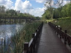 -黄海国家森林公园