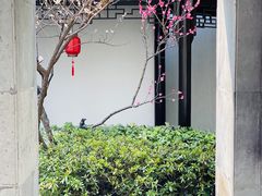 -南京市民俗博物馆(甘熙故居)