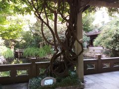 -复旦大学附属华山医院(总院)