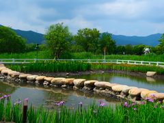 -长兴太湖图影湿地文化园