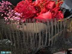 -金陵之星大酒店·中餐厅